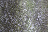 Failand fibreglass roof work